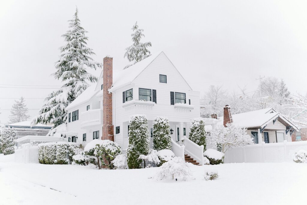 White house with black shutters and snowy trees—a peaceful scene showing why winter pest control is important.