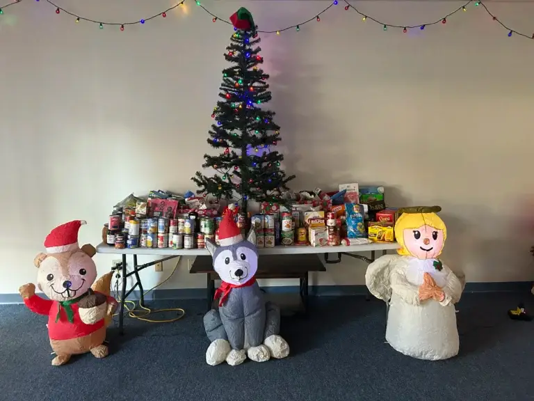 A photo of food from a food drive in front of a christmas tree with holiday inflatables results.
