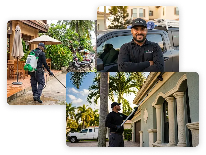 Three images of a pest control worker using spraying equipment outside buildings in a Commercial Template setting.