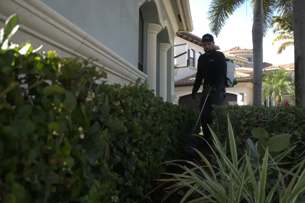 A person in dark clothes sprays landscaping near a house with palm trees and manicured bushes.