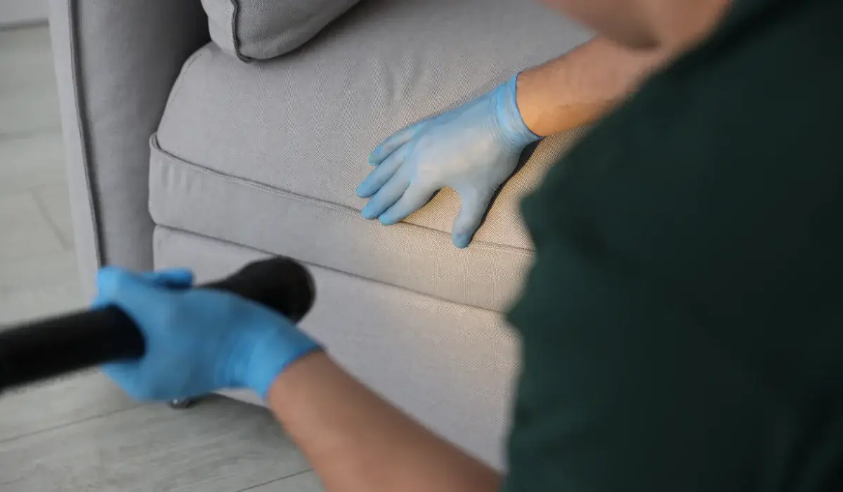 home pest control checklist