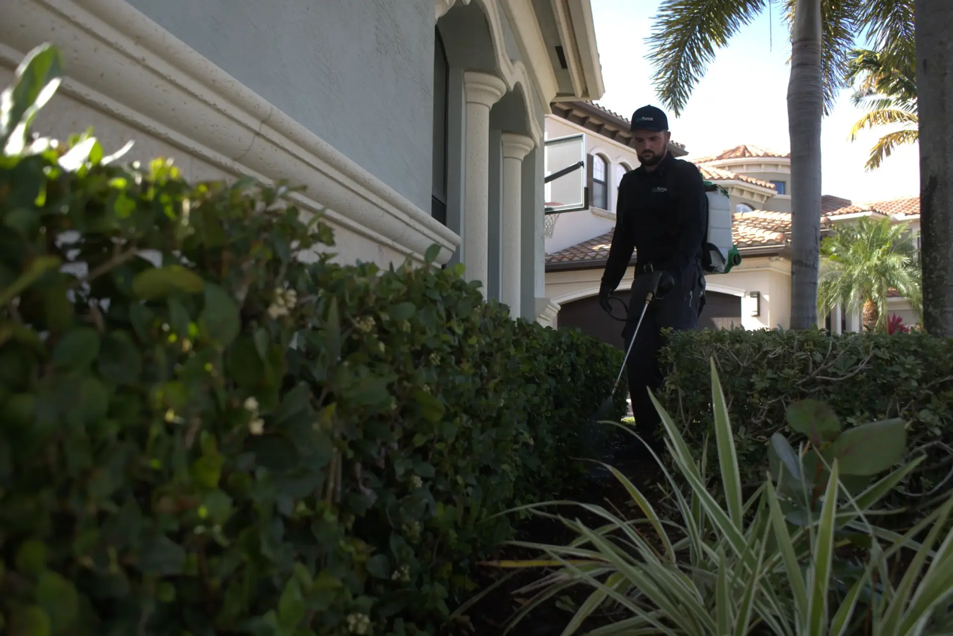 a proforce pest control technician providing a treatment to a client's house