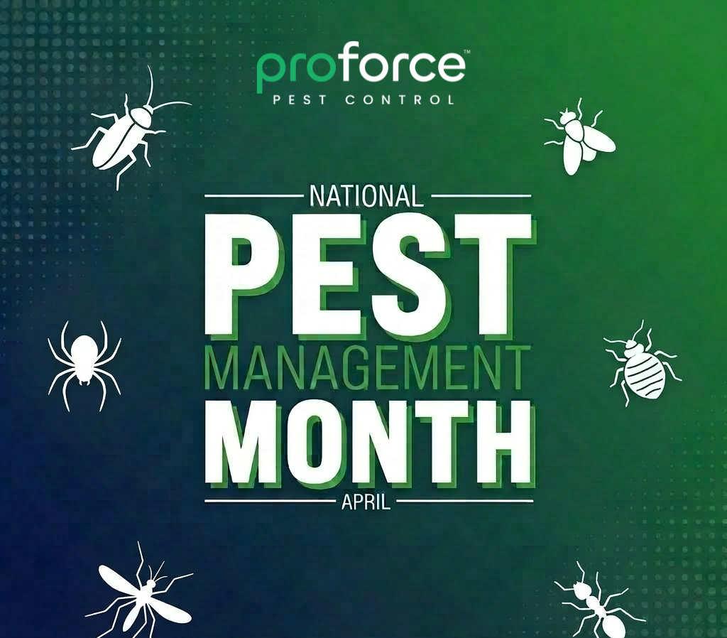 Proforce National Pest Management Month Offer